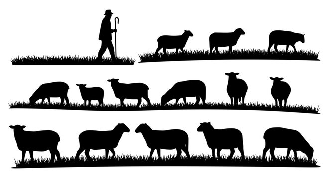 Farm Animal Silhouettes with Shepherd Walking Livestock in Rural Landscape