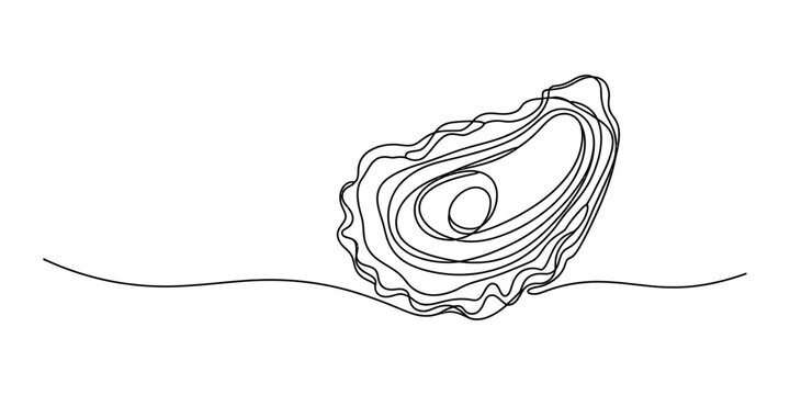 Single continuous line drawing of an oyster shell showing natural organic texture and shape for luxury seafood restaurant or marine life concept Vector, illustration