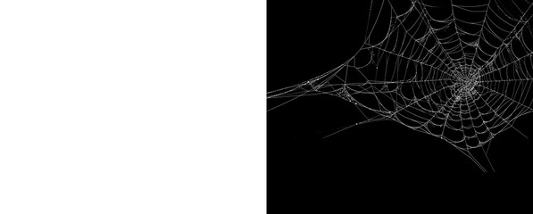 Realistic spider web corner design isolated on black and transparent grid. © Creative Png