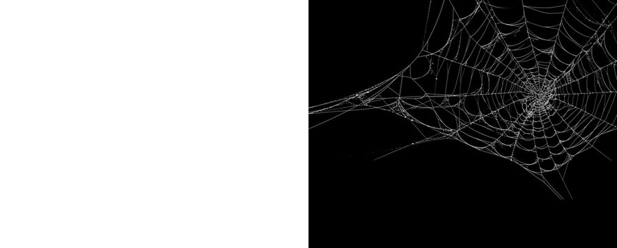 Realistic spider web corner design isolated on black and transparent grid.
