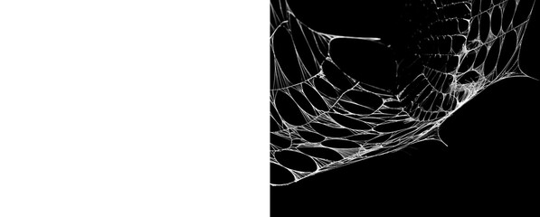 White spider web on transparent background and alpha channel for halloween. © Creative Png