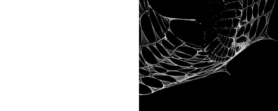 White spider web on transparent background and alpha channel for halloween.