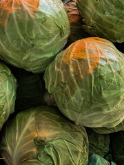 Obraz premium Green cabbage heads piled in farmers market. Fresh organic vegetable harvest stack. Raw food ingredient for healthy cooking diet, agricultural produce background for grocery store retail.