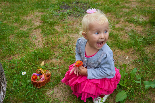 Excited little blonde girl holding flower in garden with basket of fruits, Little child with an open mouth from surprise and joy plays on the grass in the summer,