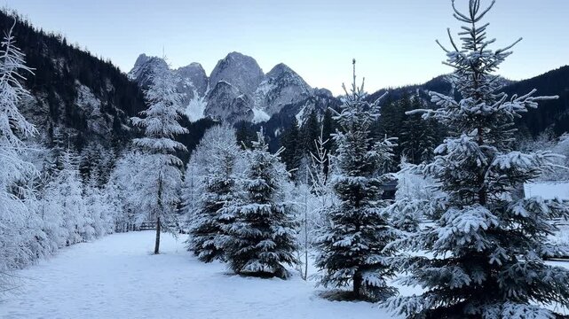 Winter mountain range with snow covered fir trees. Winter mountain landscape. Alps mountain landscape in Austria.