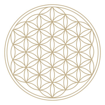 神聖幾何学