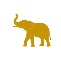Obraz premium elephant on a white background