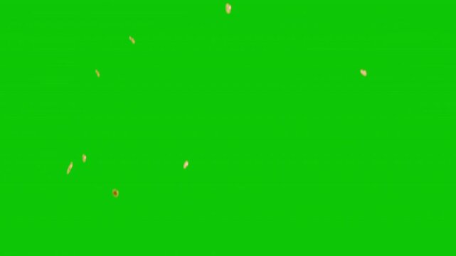 Explosion gold coins overlay on black background with green screen and alpha matte.