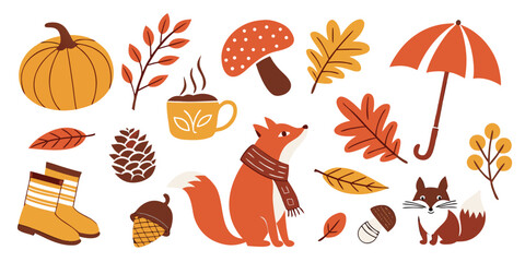 Set of cute autumn elements with pumpkin, fall leaves, mushrooms, coffee cup, fox, pinecone, and umbrella. © Sadhin