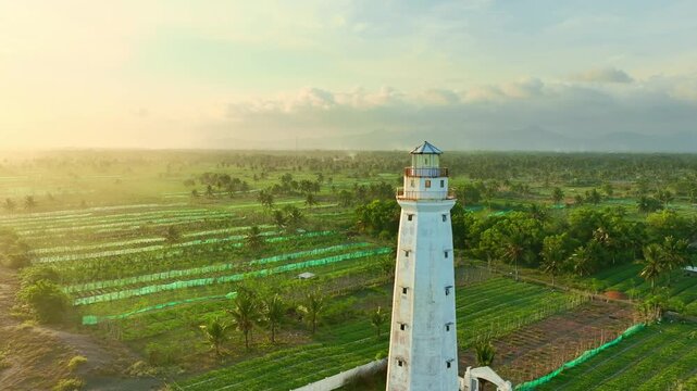 Aerial lighthouse rising over tropical farm rows