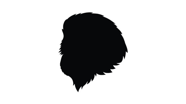 eagle silhouette vector