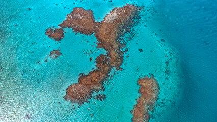 Coral reef forming  © Maula