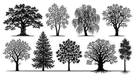 Obraz premium set of trees silhouettes