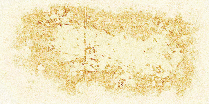 Rustic wheat flour and wheat grain texture background with grunge antique rough surface detail