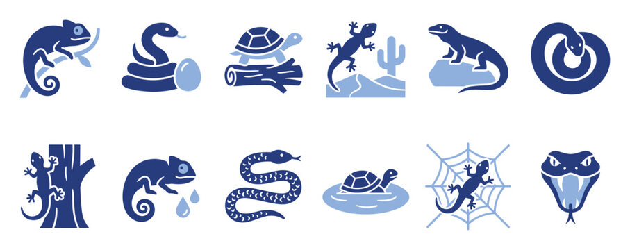 Set of chameleons, snakes, turtles, lizards, and geckos icons for nature education.