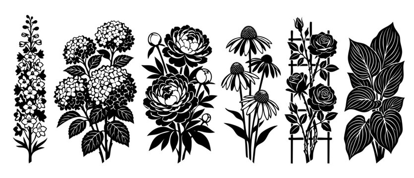 Floral Silhouette Set Collection Black and White Vector Illustration of Hydrangea Peony Rose and Garden Flowers for Botanical Design Elements and Graphic Art Projects Isolated on White Background Grap