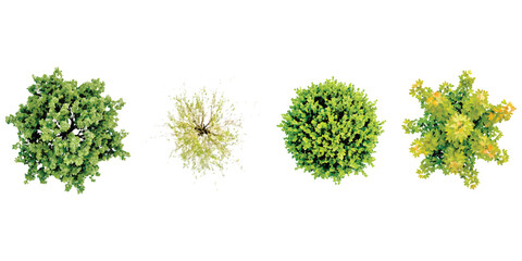 Set of four different green trees seen from above for landscape design and architectural plans © md