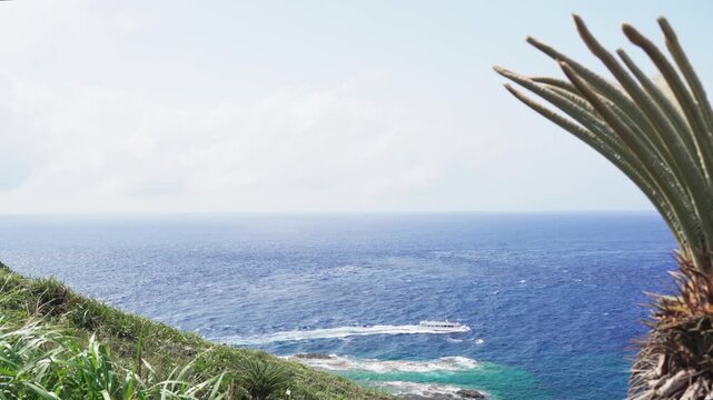 A sightseeing boat cruising through rough waves of the blue ocean in Yonaguni Island, Okinawa, Japan. Scenic view from a cape with a cycad plant in the foreground.