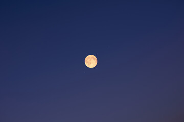 Fototapeta premium Full Moon on a twilight background.