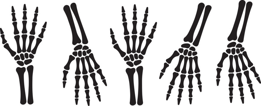 Skeleton hand gestures set. Collection of hand-drawn bones signs. Vector illustration