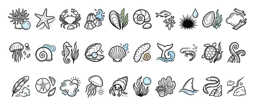 Set of marine life and ocean creature icons for educational materials and underwater projects