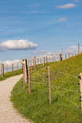 Fototapeta premium Tranquil Swiss hillside landscape with winding dirt path, fenced meadow and distant ridge, perfect for hiking, nature exploration and rural scenery.