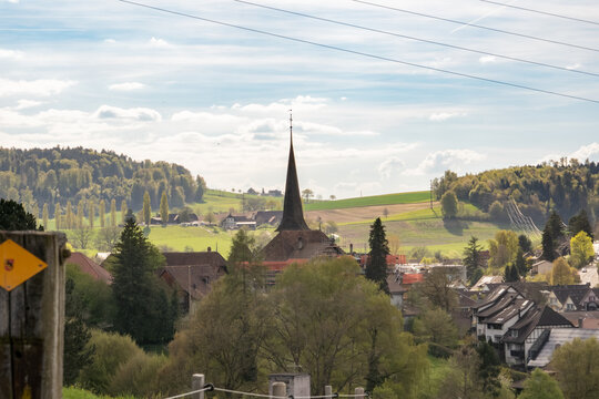 Scenic Swiss village with a tall church spire, rolling hills, mixed forests (Fagus sylvatica, Pinus spp.), and pastoral fields (Poaceae spp.) in spring.