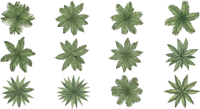 Set of top view palm trees and tropical plants for architectural landscape design and site planning vector