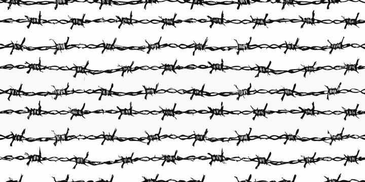 seamless pattern of black barbed wire on white background