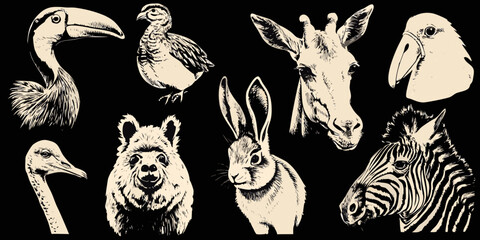 Fototapeta premium vector illustration of vintage style animal heads on black background