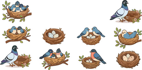 Cute Bird Nest Collection with Eggs Baby Birds and Woodland Nature Cartoon Vector Illustratio © Sumon Creative