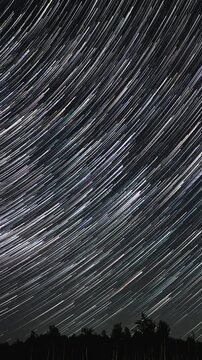 Time lapse of comet-shaped star trails over the forest in the night sky. Stars move around a polar star, vertical footage