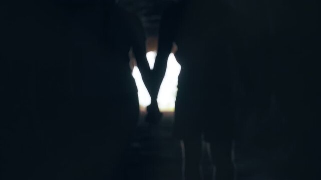 Silhouette of Man Taking Woman Hand While Walking Together Toward Bright Light at the End of Dark Tunnel, Cinematic Foggy Scene About Love, Support and Eternal Connection