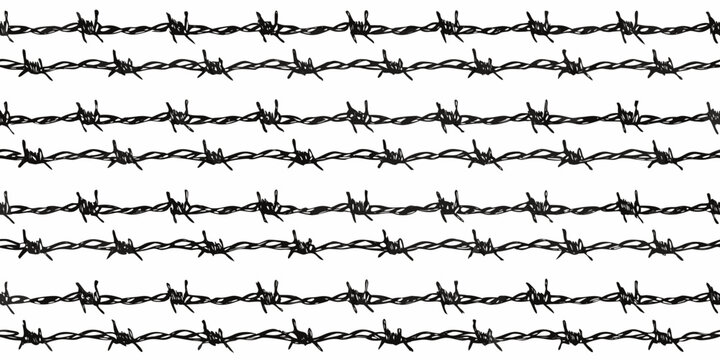 seamless pattern of black barbed wire on white background