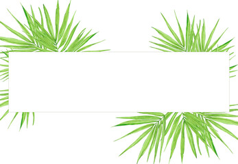 Fototapeta premium Hand drawn watercolor tropical leaves frame border. Illustration isolated on white background. Can be used for invitation, card, travel design and other printed products