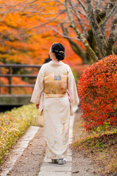 Maple leaves turning red in the autumn season in Kyoto. Back view a woman wearing Japanese traditional kimono walking on Philosopher's Path ( Tetsugaku No Michi ). Fall foliage in Japan.
