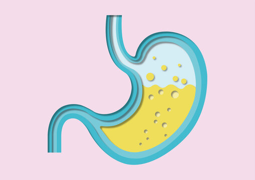 Stomach acid, conceptual illustration