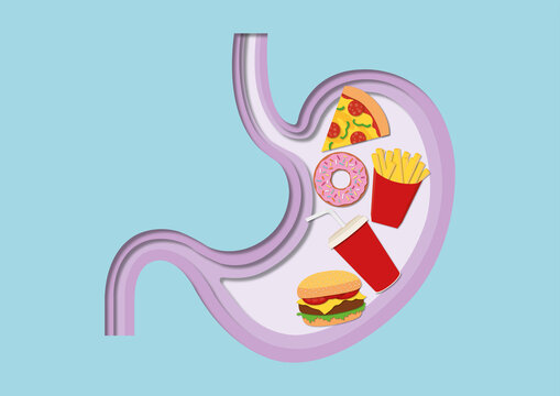Unhealthy food digestion, conceptual illustration