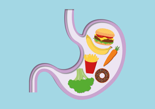 Balanced diet, conceptual illustration