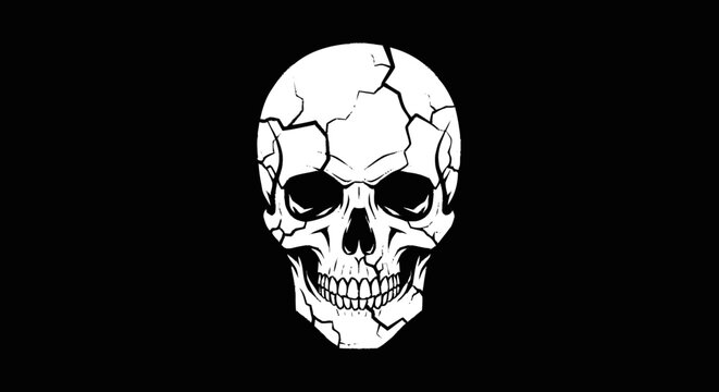 White cracked human skull illustration on black background