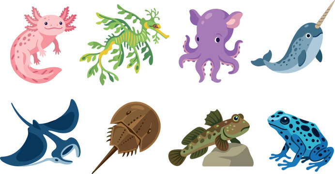Cute Cartoon Exotic Aquatic Animals Collection Featuring Axolotl Leafy Seadragon Octopus Narwhal Manta Ray Horseshoe Crab Frogfish and Poison Dart Frog Vector Illustrations