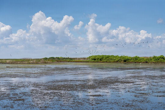 America's Waters- Lake Okeechobee 