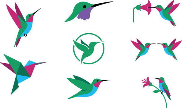Colorful Hummingbird Vector Illustration Collection Featuring Flying Tropical Birds Drinking Nectar and Geometric Bird Logos for Nature and Wildlife Design Projects