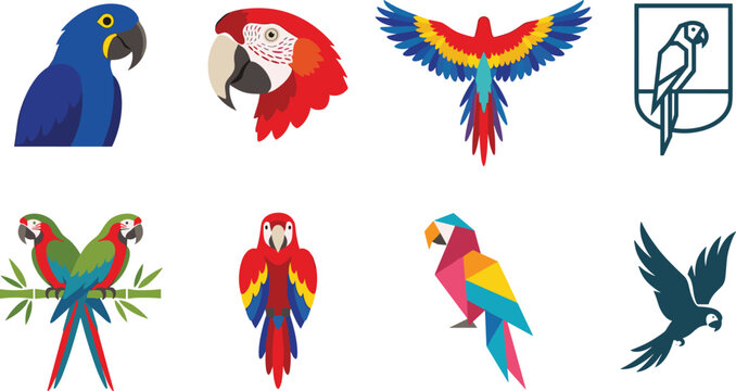 Colorful Macaw Parrot Vector Illustration Collection Featuring Flying Tropical Exotic and Geometric Birds for Wildlife Nature Jungle and Logo Design Projects