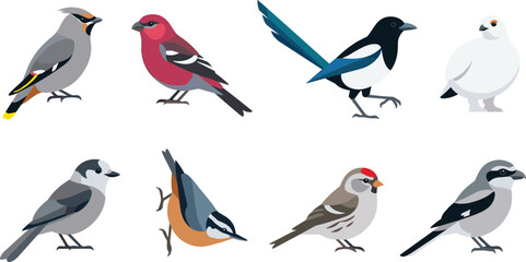 Obraz premium Colorful Songbird Vector Illustration Set Featuring Various Perching Flying and Standing Birds for Wildlife Nature Cartoon and Ornithology Design Projects