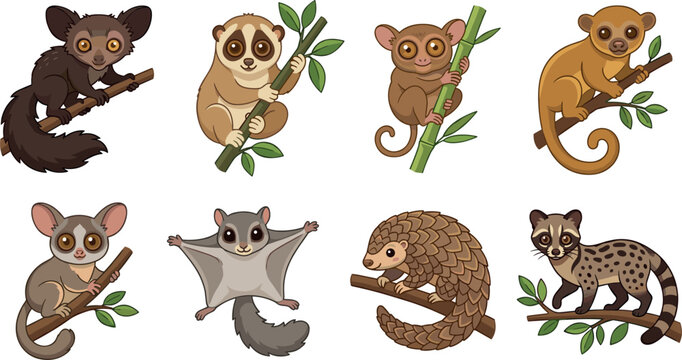 Cute Cartoon Nocturnal Animals Collection Featuring Aye-Aye Slow Loris Tarsier Kinkajou Bushbaby Sugar Glider Pangolin and Civet Vector Illustrations