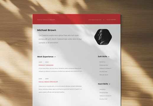Simple Resume Layout with 2 Column Design