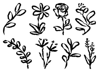 PNG Hand-drawn floral vector illustrations element set on transparent background © Rawpixel.com