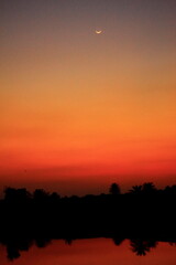 Fototapeta premium Orange Sky With Tree Golden Sunset nature background photography