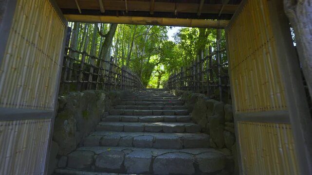 京都　新緑の詩仙堂の参道を歩く